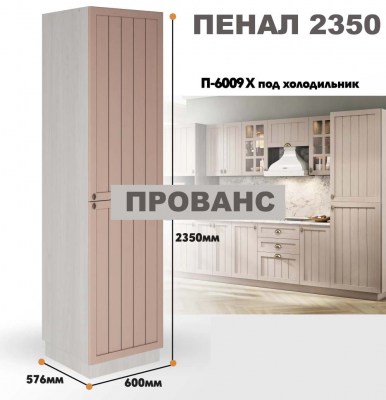 provans_p_6009 x_8